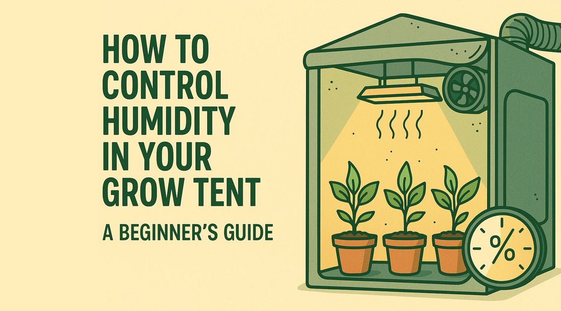 How to Control Humidity in Your Grow Tent: A Beginner’s Guide