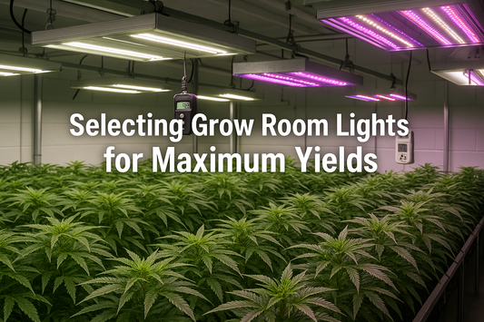Selecting Grow Room Lights for Maximum Yields
