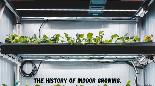 The History Of Indoor Growing. | Skyline Vape & Smoke Lounge | | South Africa