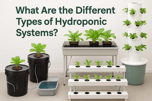 What Are the Different Types of Hydroponic Systems?