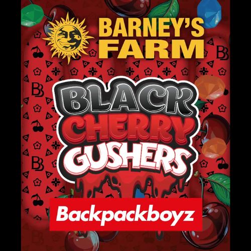 Barneys Farm Black Cherry Gushers Seeds | Skyline Seed Bank