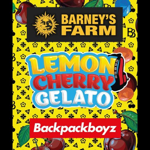 Barneys Farm Lemon Cherry Gelato Feminized Seeds | Skyline Seed Bank