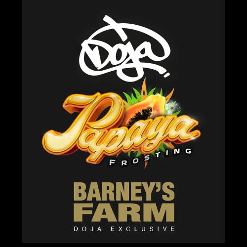 Barneys Farm Papaya Frosting Seeds | Skyline Seed Bank
