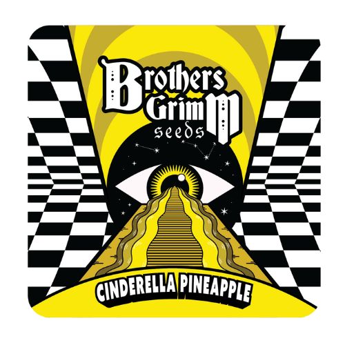 Brothers Grimm Seeds Cinderella Pineapple | Skyline Seed Bank