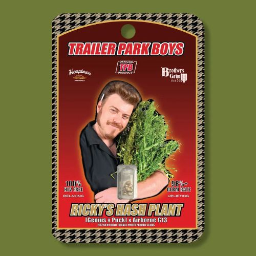 Brothers Grimm Seeds Ricky's Hash Plant | Skyline Seed Bank