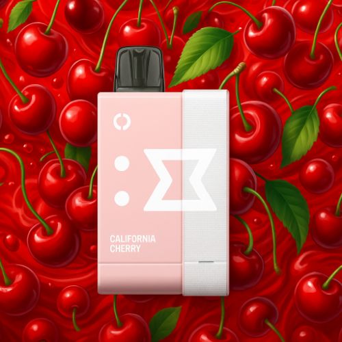 ELFBAR EW9000 Disposable Pod Kit