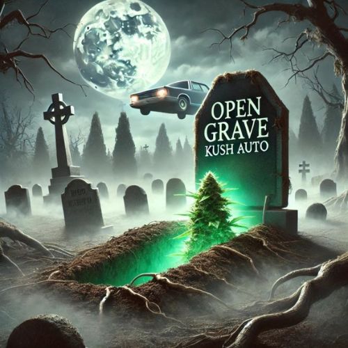 Open Grave Kush Auto Seeds | Skyline Seed Bank