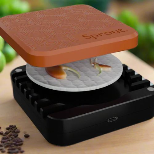 Sprout Seed Germinator | Fast & Reliable Germination Open
