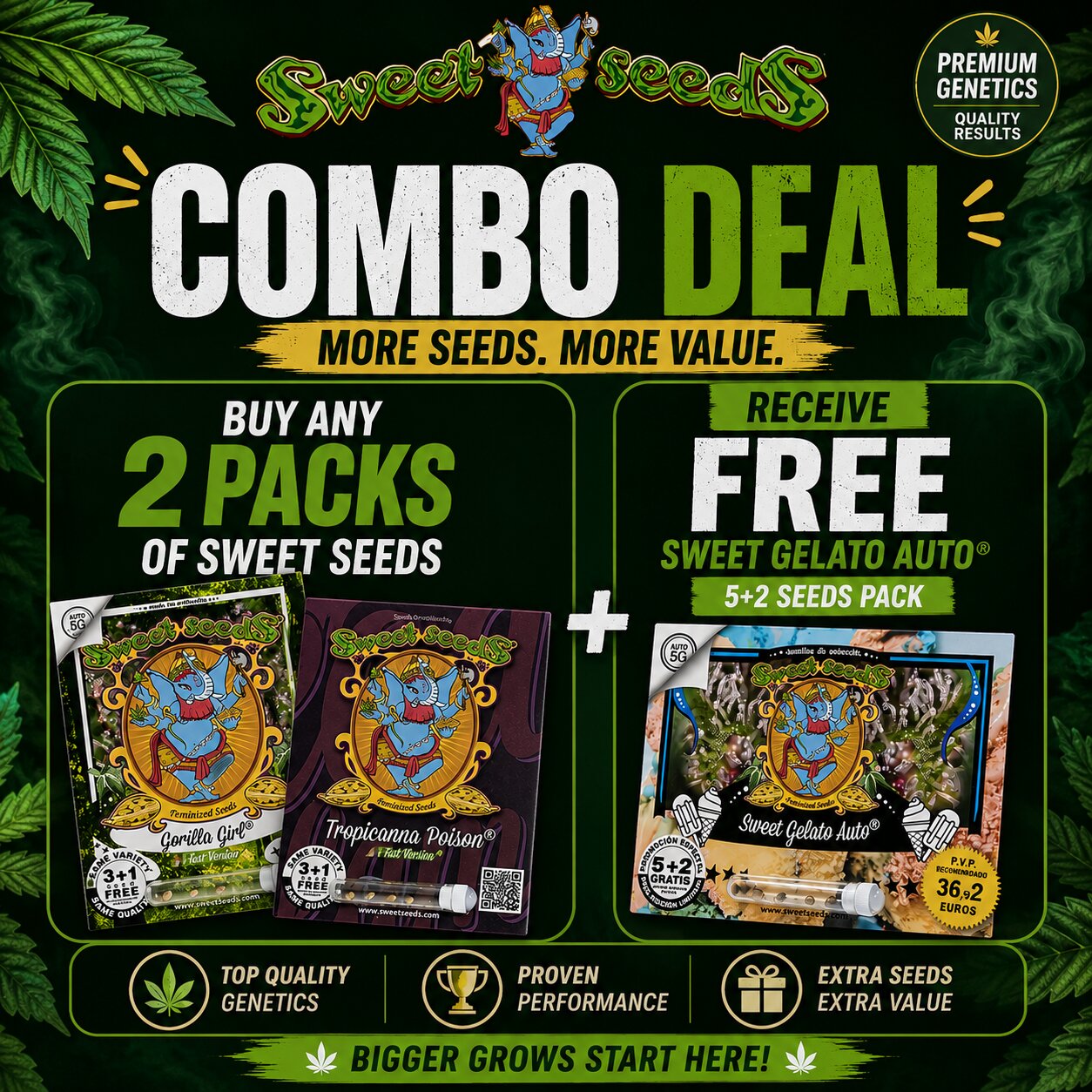 Sweet Seeds Combo Deal