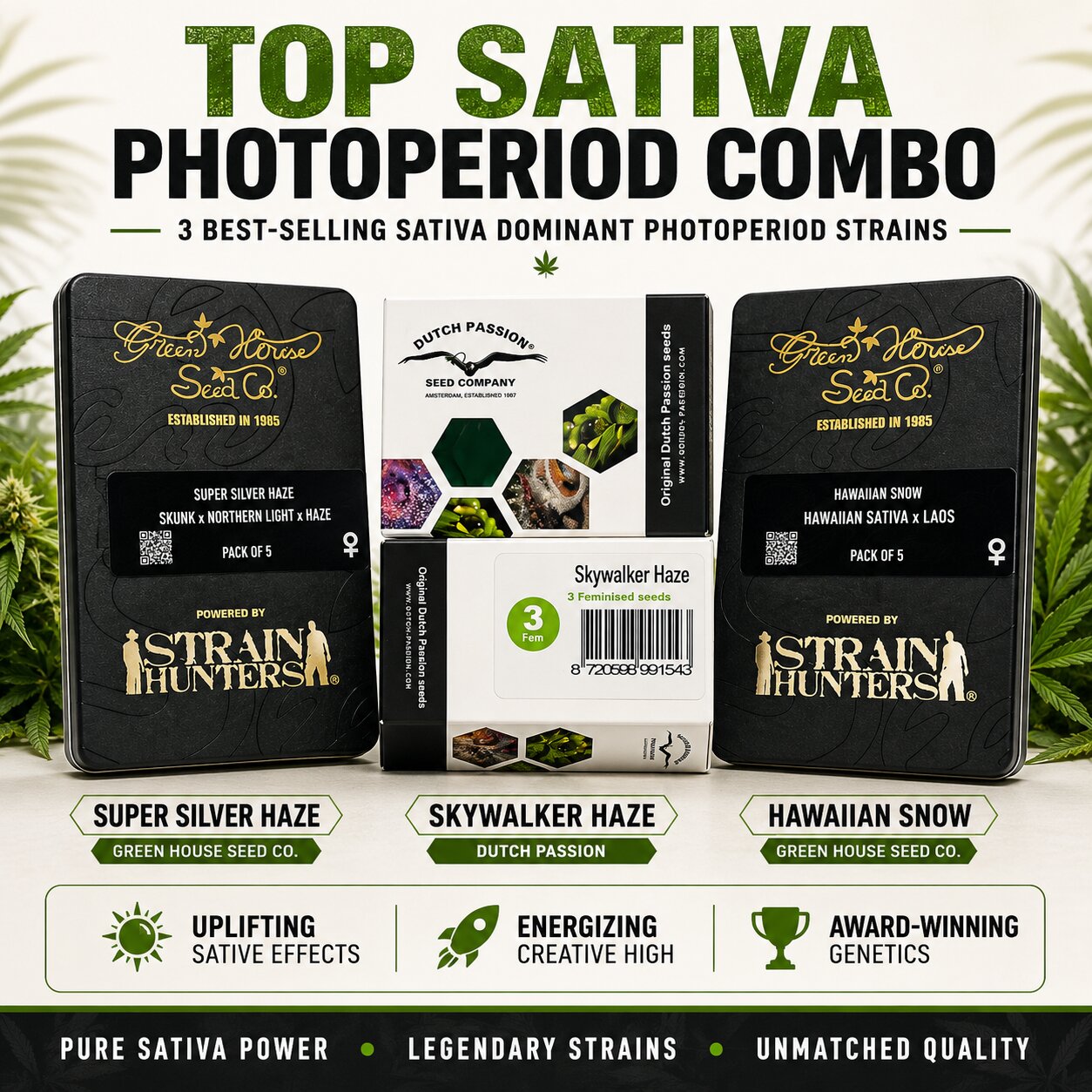 Top Sativa Photoperiod Combo β Super Silver Haze, Skywalker Haze & Hawaiian Snow Feminized Seeds 5 Pack Bundle