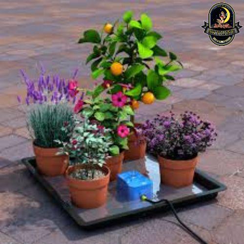 Autopot Easy2Go Kit | Autopot | Skyline Smoke Company | South Africa