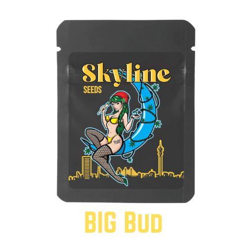 Big Bud | Skyline Seeds | Skyline Smoke Company | South Africa