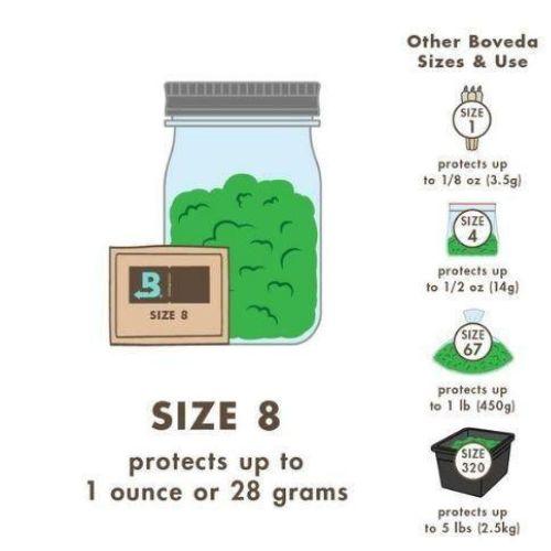 Boveda 62% Humidity Packs | Boveda | Skyline Smoke Company | South Africa