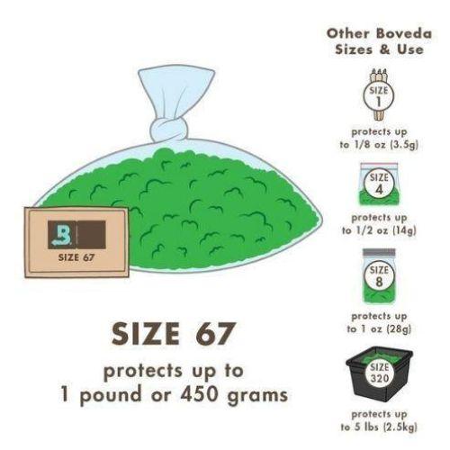 Boveda 62% Humidity Packs | Boveda | Skyline Smoke Company | South Africa