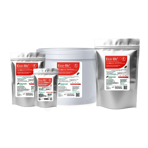 Eco - BB | Andermatt Madumbi | Skyline Smoke Company | South Africa