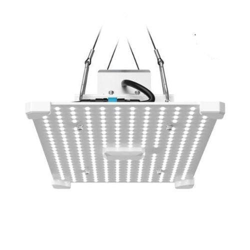 LUMii BLACK Blade 100W LED Grow Light | LUMII | Skyline Smoke Company | South Africa