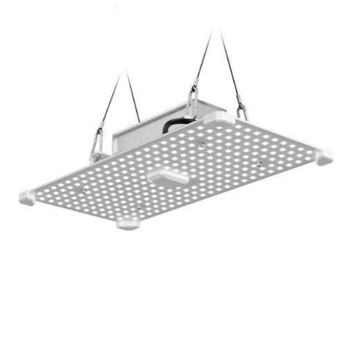 LUMii BLACK Blade 100W LED Grow Light | LUMII | Skyline Smoke Company | South Africa