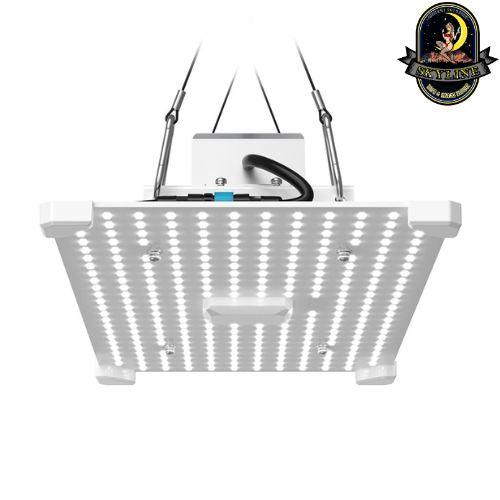 LUMii BLACK Blade 100W LED Grow Light | LUMII | Skyline Vape & Smoke Lounge | South Africa