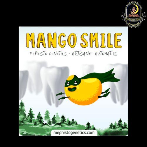 Mango Smile Auto | Mephisto Genetics | Skyline Smoke Company | South Africa