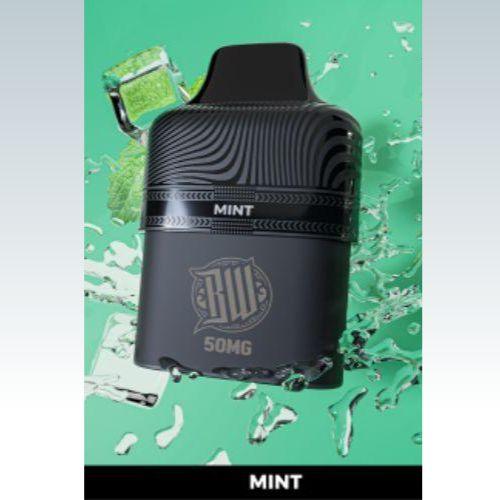 Mint 6000puff Disposable Pod | Bewolk Industries | Skyline Smoke Company | South Africa