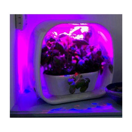 PLANT!T Herb Garden | PLANT!T | Skyline Smoke Company | South Africa