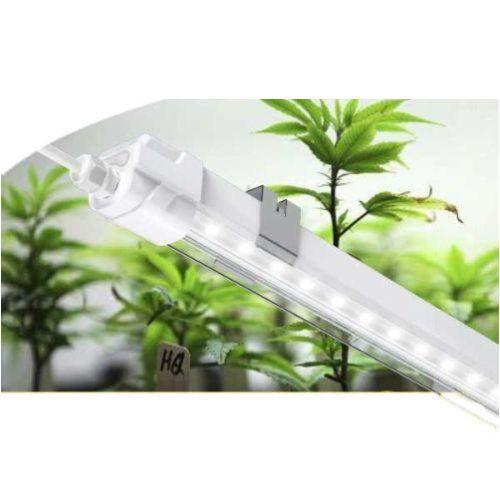 Smart Start Clone LED Grow Lights | Smart Start | Skyline Smoke Company | South Africa