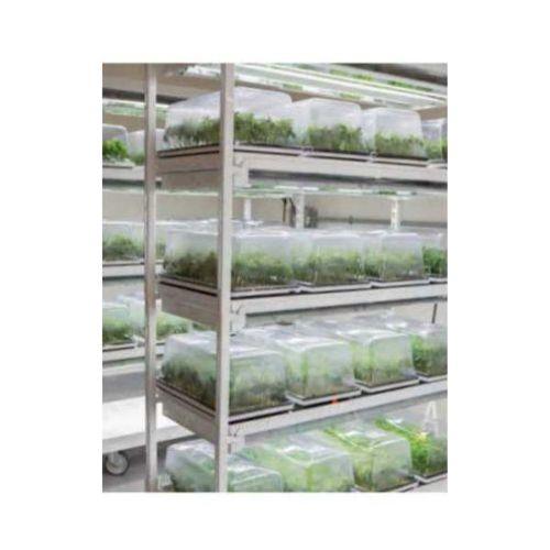 Smart Start Clone LED Grow Lights | Smart Start | Skyline Smoke Company | South Africa