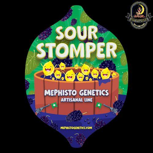 Sour Stomper Auto | Mephisto Genetics | Skyline Smoke Company | South Africa