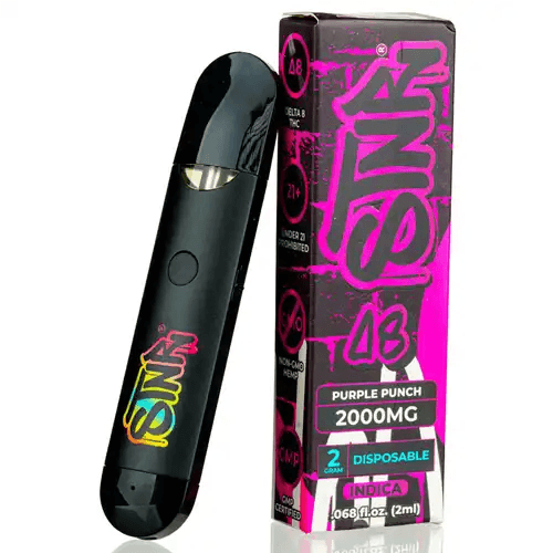 STNR 2 Gram Delta 8 Disposable Vapes | STNR Creations | Skyline Smoke Company | South Africa