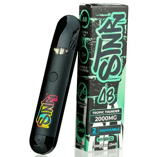 STNR 2 Gram Delta 8 Disposable Vapes | STNR Creations | Skyline Smoke Company | South Africa