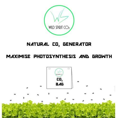 Wild Spirit CO2 Mycelium Bag 1.2kg | Wild Spirit RSA | Skyline Smoke Company | South Africa