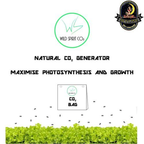 Wild Spirit CO2 Mycelium Bag - 1.2kg | Wild Spirit RSA | Skyline Vape & Smoke Lounge | South Africa