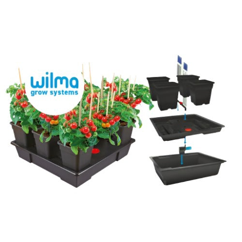 Wilma Large 4 Complete System 18L | Atami | Skyline Smoke Company | South Africa