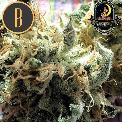 Chocolopez | BlimBurn Seeds | Skyline Vape & Smoke Lounge | South Africa