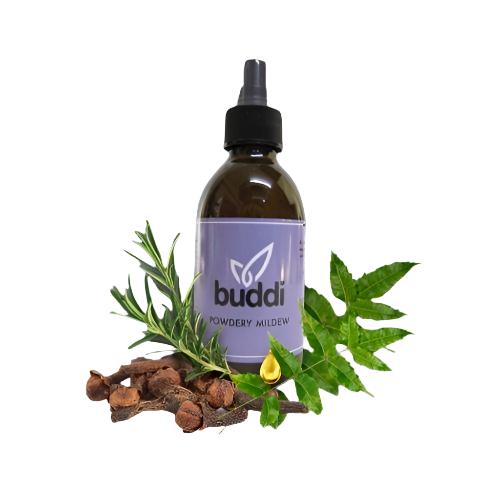 Powdery Mildew Spray | Buddi Sprays | Skyline Smoke Company | South Africa