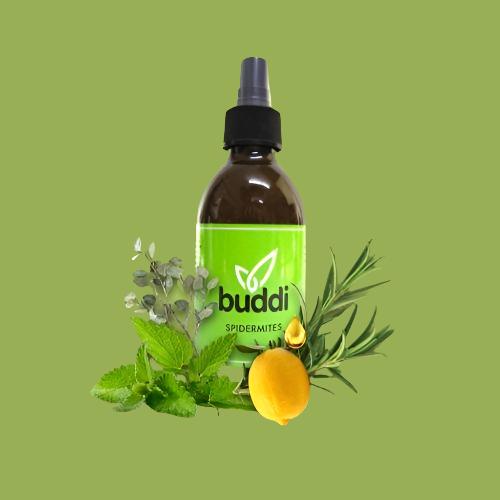 Spidermites Spray | Buddi Sprays | Skyline Smoke Company | South Africa