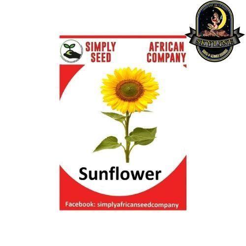 Sunflower Seeds | Simply African Seed Company | Skyline Smoke Company | South Africa