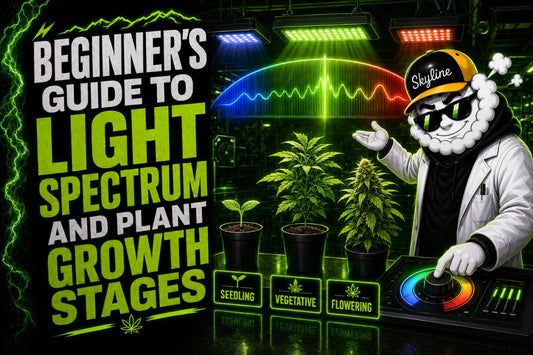 Beginner’s Guide to Light Spectrum and Plant Growth Stages