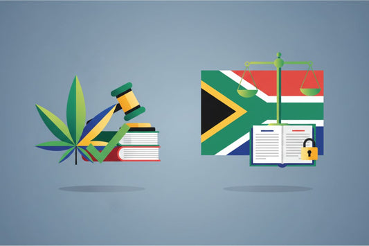 Current Cannabis Laws in South Africa (2026)