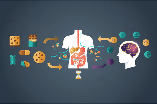 Cannabis Edibles Guide: Effects, Timing & What to Expect