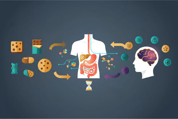 Cannabis Edibles Guide: Effects, Timing & What to Expect