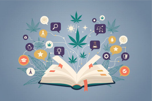 Cannabis Terminology Guide: Understanding Cannabis Lingo