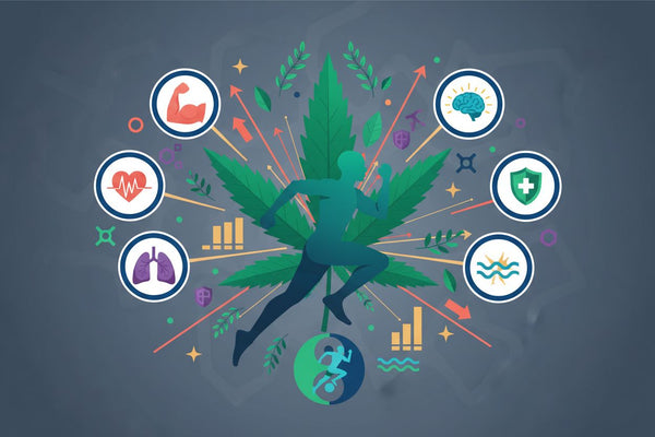 Does Cannabis Enhance Exercise Performance? Effects on Fitness & Recovery