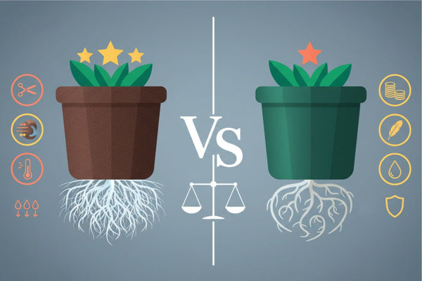 Fabric Pots vs Plastic Pots: Pros, Cons & Best for Plant Growth
