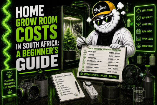 Home Grow Room Costs in South Africa: A Beginner's Guide