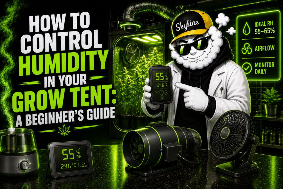How to Control Humidity in Your Grow Tent: A Beginner’s Guide