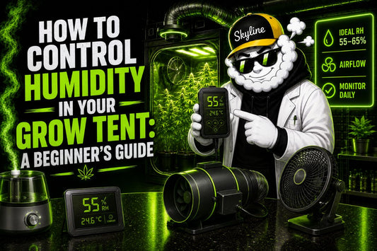 How to Control Humidity in Your Grow Tent: A Beginner’s Guide