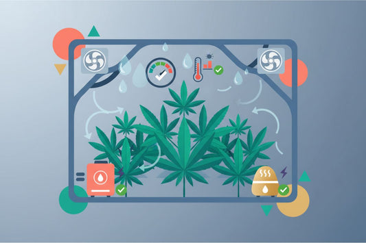 How to Control Humidity in Your Grow Tent: A Beginner’s Guide