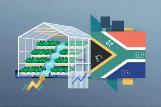 Hydroponic Farming South Africa | Guide for Commercial Growers