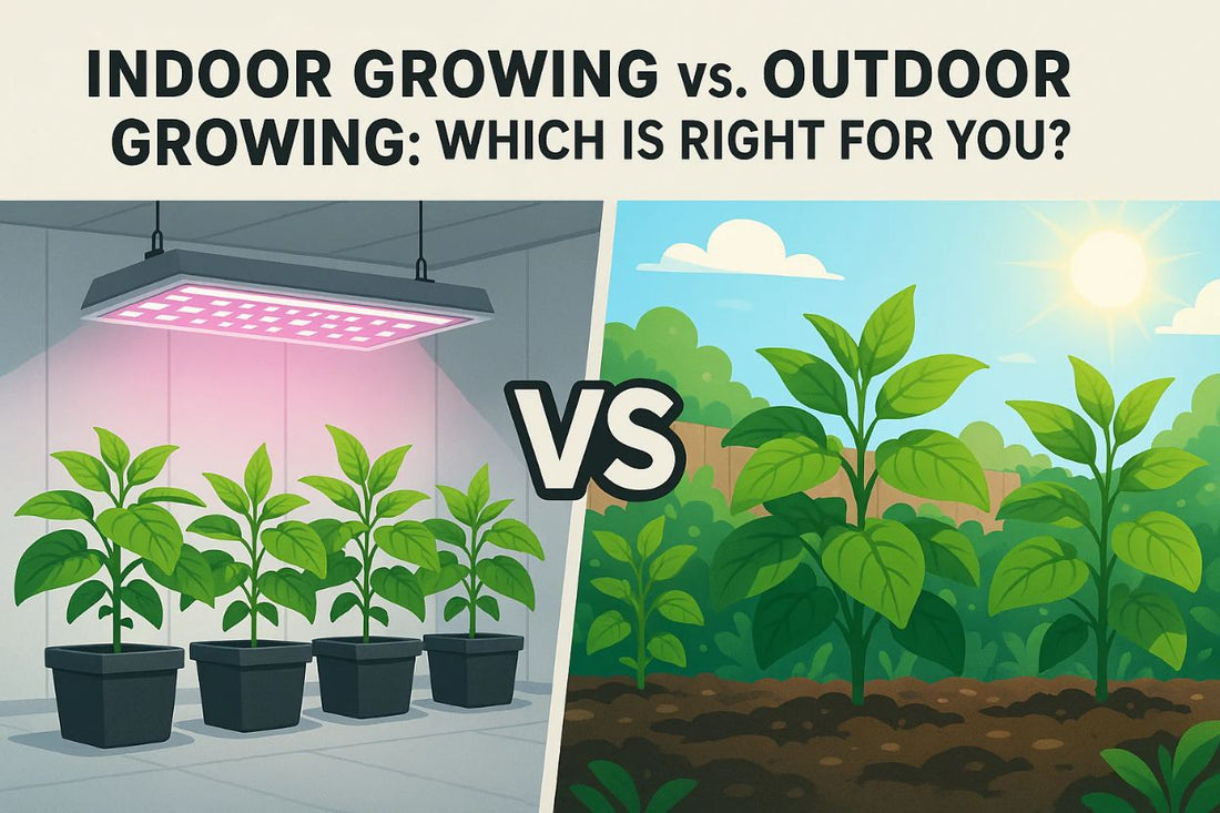 Indoor Growing vs Outdoor Growing | Skyline Grow Shop